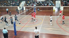 Imagem de Voleibol: Fonte do Bastardo recebe o Brno (Vídeo)