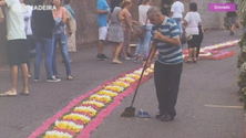 Imagem de Tapetes de flores das festas do Santíssimo Sacramento da Madeira fotografados