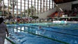 Madeirenses conquistam 10 medalhas nos nacionais de natação