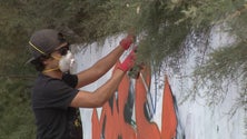 Imagem de Câmara de Lobos cria o primeiro mural de arte urbana (vídeo)