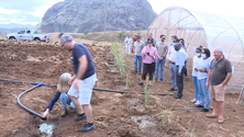 Imagem de Açores e Cabo Verde cooperam na agricultura (Vídeo)