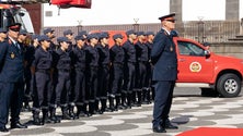 Imagem de Câmara do Funchal disposta a enviar bombeiros para ajudar nos fogos de Canárias