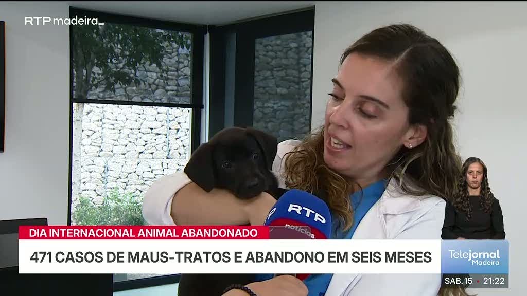 Dia Internacional do Animal Abandonado (vídeo)