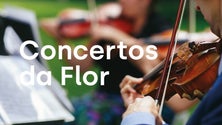 Grupo Baroque Ensemble deu concerto nos jardins da Quinta Vigia