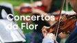 Imagem de Grupo Baroque Ensemble deu concerto nos jardins da Quinta Vigia