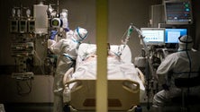 Imagem de Menos doentes internados nos cuidados intensivos