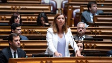 Imagem de PSD não desiste de ouvir Elvira Fortunato na Assembleia da República (áudio)