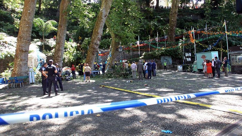 Imagem de Tribunal da Relação deu provimento a recurso de arguido no caso da queda da árvore no Monte