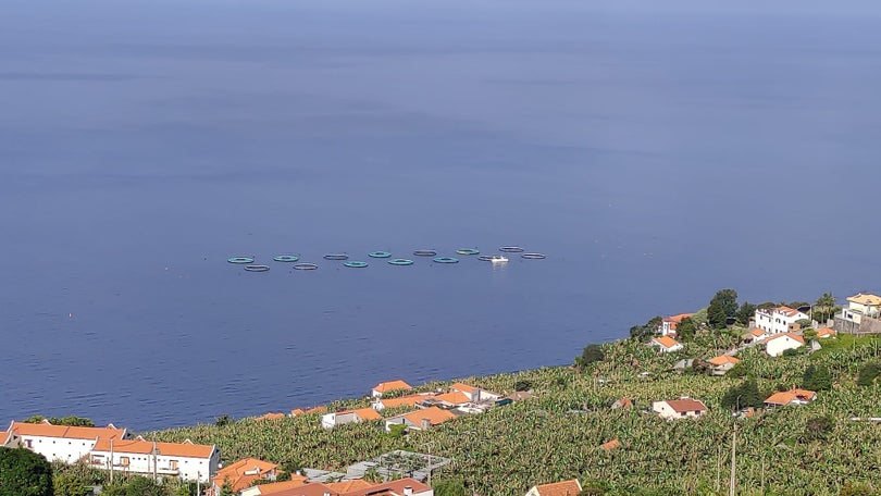 Ministra defende reforço da produção da aquacultura em Portugal