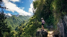 Imagem de Madeira faz balanço positivo da Fitur