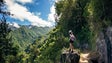 Imagem de Madeira faz balanço positivo da Fitur