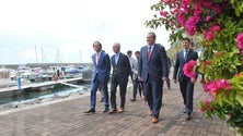 Imagem de Marina da Calheta deve encher neste verão