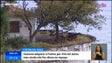 Imagem de Fortim do Faial «ao abandono» (vídeo)