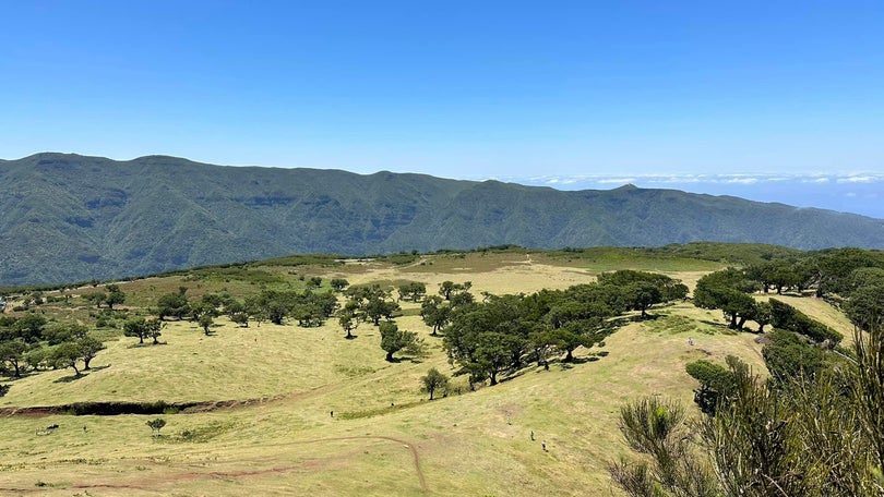 Casal de turistas perdeu-se no Fanal e foram ativados meios de socorro