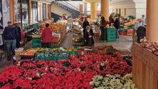 Imagem de Comerciantes deixam reparos ao Mercado da Ribeira Brava (áudio)