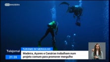 Imagem de Turismo de mergulho junta ilhas atlânticas (vídeo)