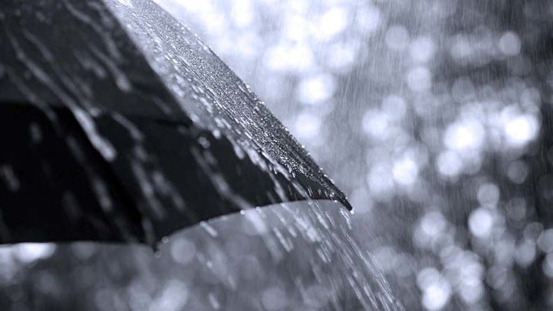 Imagem de Proteção Civil alerta para previsões de vento e chuva fortes na Madeira