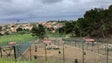 Imagem de Doença mata dezenas de coelhos (vídeo)