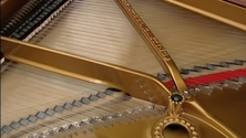 Imagem de Açores perdem afinador de pianos (Vídeo)