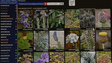 Sociedade de Botânica lançou portal dedicado à flora da Madeira (vídeo)