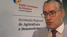 Imagem de Secretário Regional da Agricultura testou positivo à Covid-19