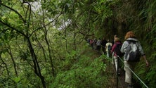 Imagem de Governo da Madeira suspende portaria polémica