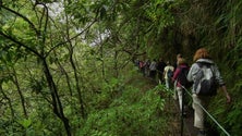 Governo da Madeira suspende portaria polémica