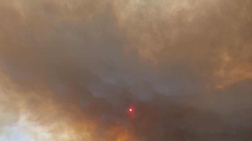 Imagem de Teleférico das Achadas da Cruz encerrado devido ao fumo