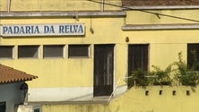 Autoridades encerram padaria na freguesia da Relva (Vídeo)