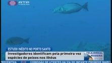 Imagem de Estudo inédito no Porto Santo (Vídeo)