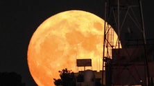 Imagem de Superlua e chuva de estrelas