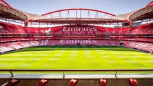 Imagem de LC: Fase inédita arranca com duelo entre PSG e Atalanta na Luz