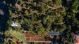 Imagem de Jardim Botânico assinala hoje 63 anos de existência (áudio)