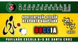 Imagem de Nova Direção do Santacruzense consegue para o clube a Declaração de Interesse Desportivo