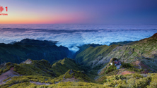 Imagem de Madeira e Porto Santo caros para o turista nacional