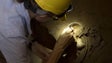 Imagem de Descobertos restos de Neandertais numa gruta em Itália