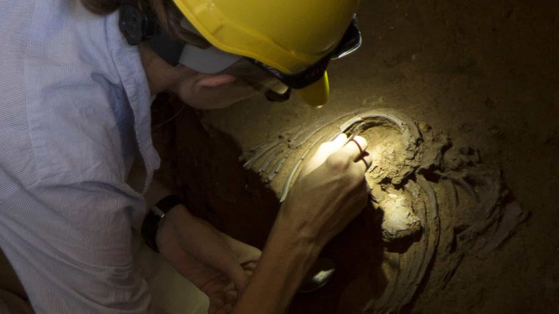 Imagem de Descobertos restos de Neandertais numa gruta em Itália