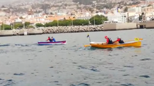 Imagem de Canoas voltaram ao mar do Funchal (vídeo)
