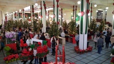 Imagem de Natal na Praça promove vendas da época (vídeo)