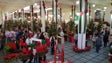 Natal na Praça promove vendas da época (vídeo)