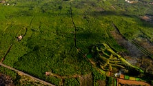 Imagem de Conselho de ilha do Pico lembra que o governo continua a adiar obras estruturantes (Vídeo)