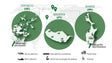 Imagem de Projeto `Smile` recebe 2,4 milhões de euros para investimento na investigação e utilização das novas tecnologias