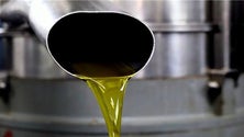 Imagem de Exportações de azeite sobem 5%