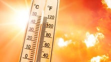 Imagem de Cerca de 40 concelhos em perigo máximo de incêndio