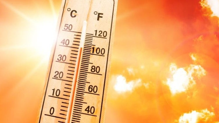 Imagem de Cerca de 40 concelhos em perigo máximo de incêndio