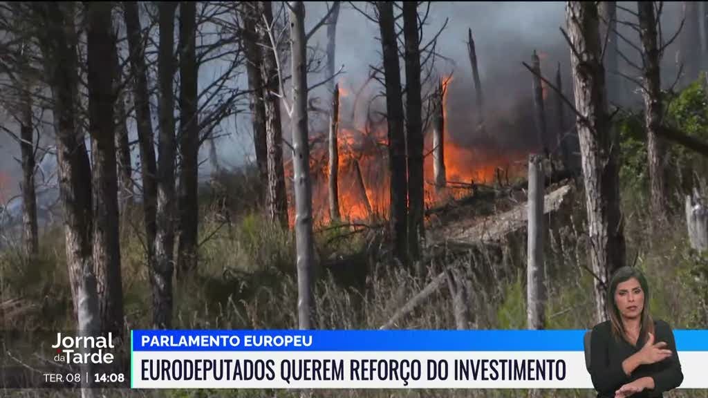 Parlamento Europeu agendou um debate sobre os incêndios em Portugal