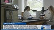 Imagem de Vacinas contra a dengue pouco eficazes (Vídeo)