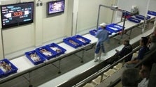 Imagem de Auditoria a três empresas públicas dos Açores (Som)