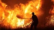 Imagem de Quatro localidades evacuadas devido a fogo em Odemira