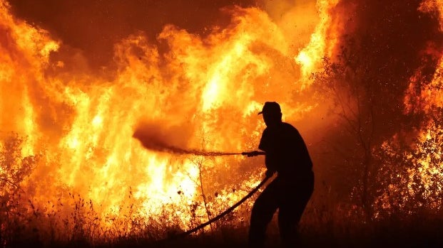 Imagem de Quatro localidades evacuadas devido a fogo em Odemira